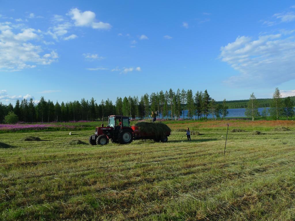 Heidin Mummola Farm Villa Pello Exteriör bild