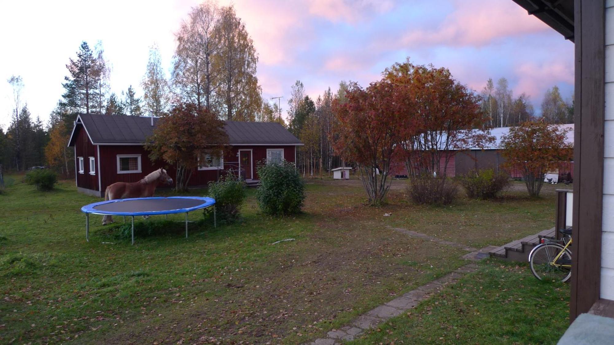 Heidin Mummola Farm Villa Pello Exteriör bild